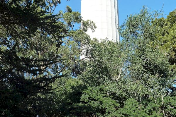 A tall, white tower stands amidst lush greenery and trees, with a staircase and railing leading up to it from the bottom left corner of the image.