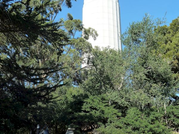 A tall, white tower stands amidst lush greenery and trees, with a staircase and railing leading up to it from the bottom left corner of the image.